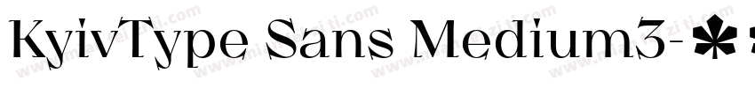KyivType Sans Medium3字体转换